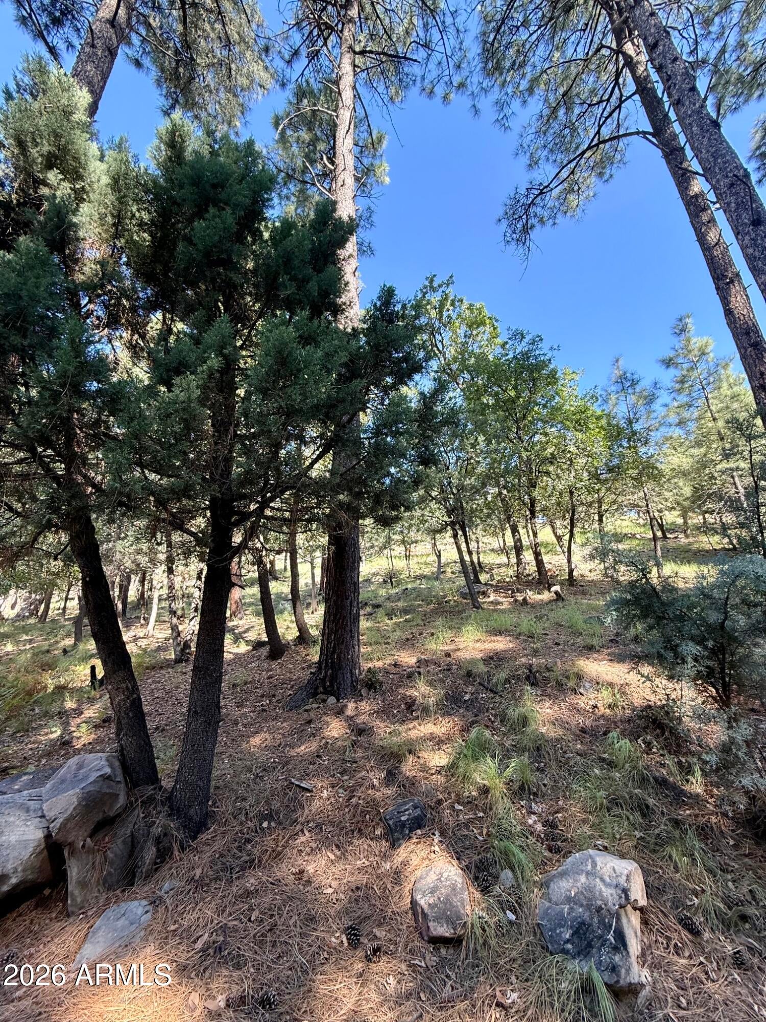 165 W BURNT POINT Trail 1