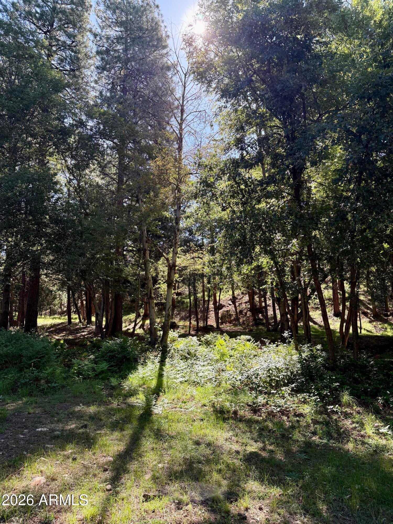 165 W BURNT POINT Trail 1