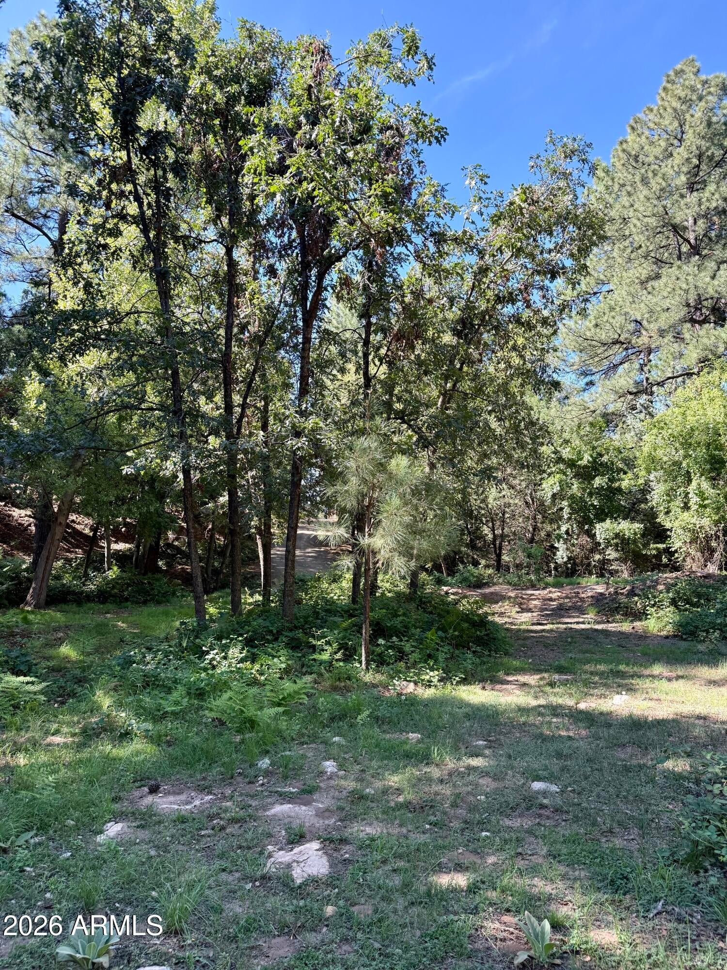 165 W BURNT POINT Trail 1