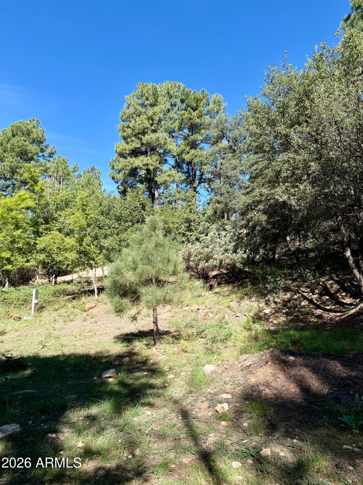 165 W BURNT POINT Trail 1