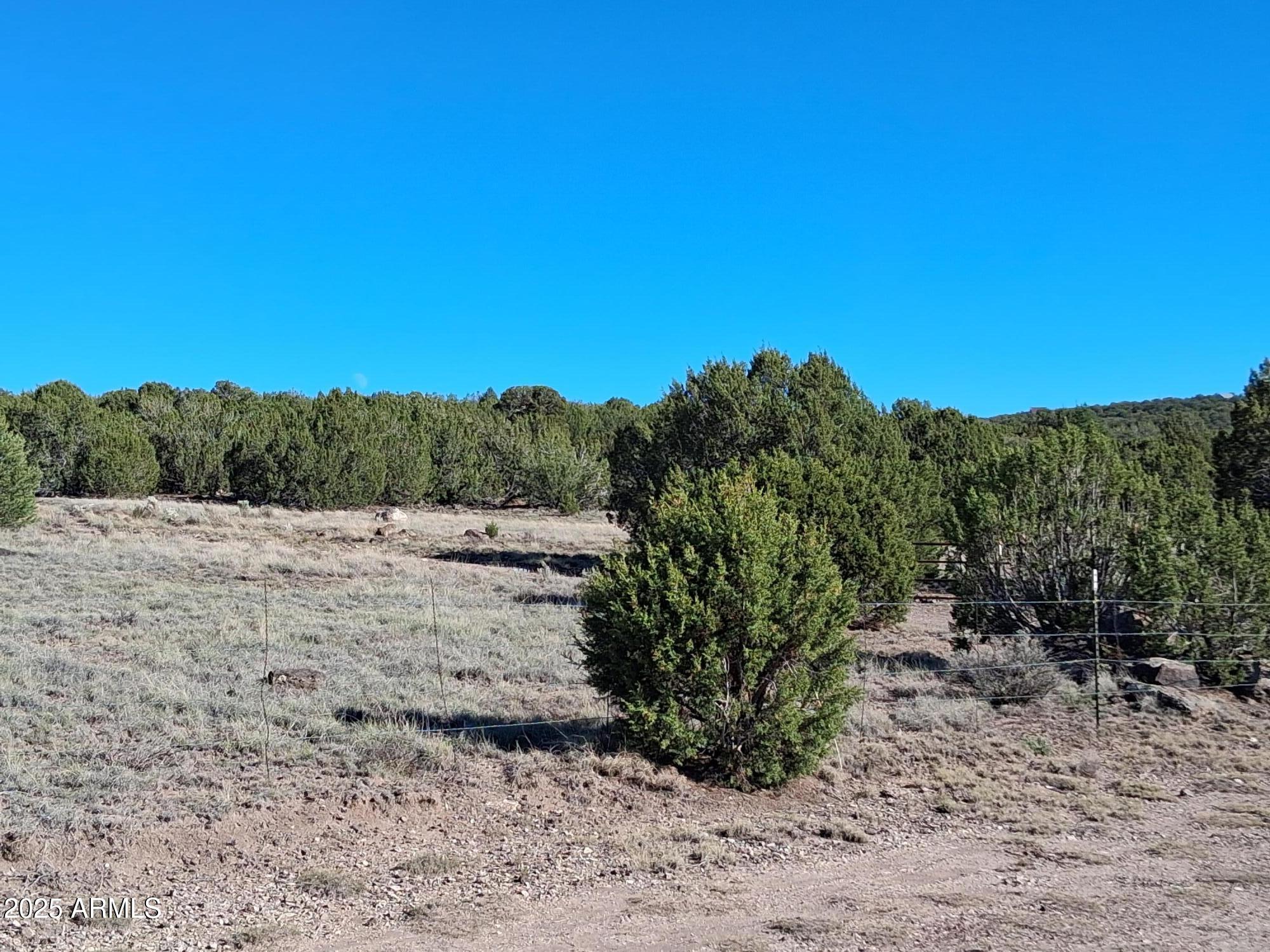TAMARRON RANCH UNIT 9 - Land