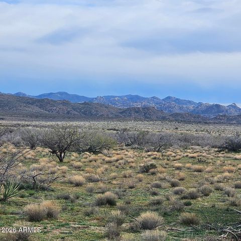 XXX W Paco Bueno -- 11 Congress AZ 85332