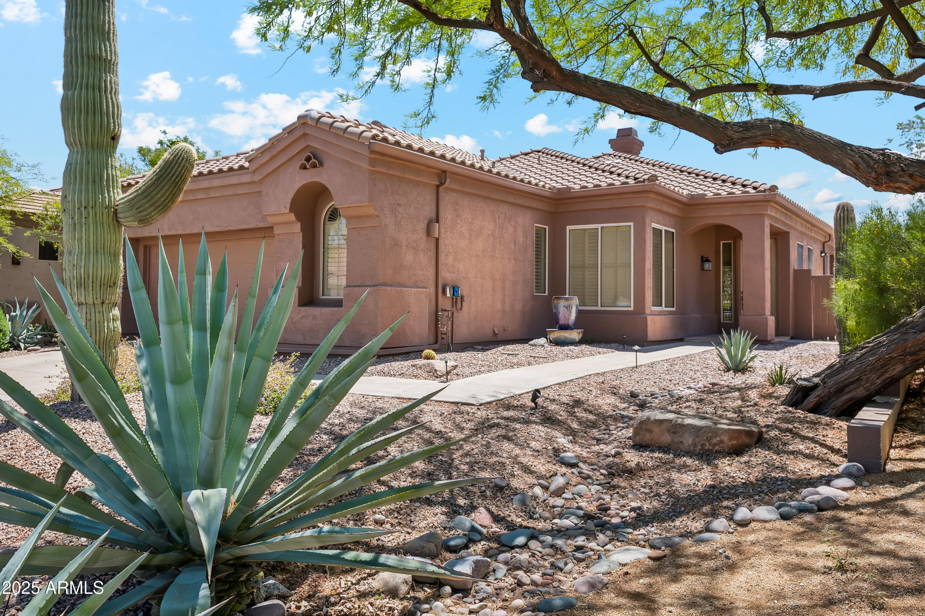 11451 E CHRISTMAS CHOLLA Drive