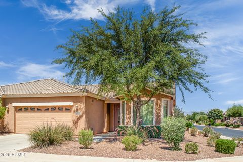 42068 W MILLER Lane Maricopa AZ 85138