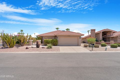 10409 E WINDFLOWER Court Sun Lakes AZ 85248