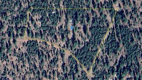 5146 STARGAZER Drive - Happy Jack AZ 86024