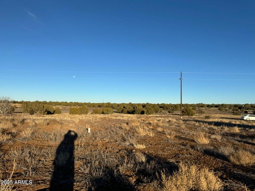 1.071 Acre lot in Show Low, AZ, just off White Mountain Lake Road - with 3 adjoining parcels also available. All parcels are graded, and also zoned for residential and commercial use, each parcel comes with its own septic tank. Power poles are also nearby and ready to be wired. Ready for site-built or mobile homes. Parcels are also ready to be connected to current well on property and already plumbed for it. Buy one lot or all! Additional adjoining land with lake rights may also be available upon request. Great opportunity for investment or multi-home setup in a peaceful, rural setting.