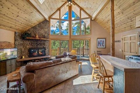 2 N COUNTY ROAD N2147 -- Alpine AZ 85920