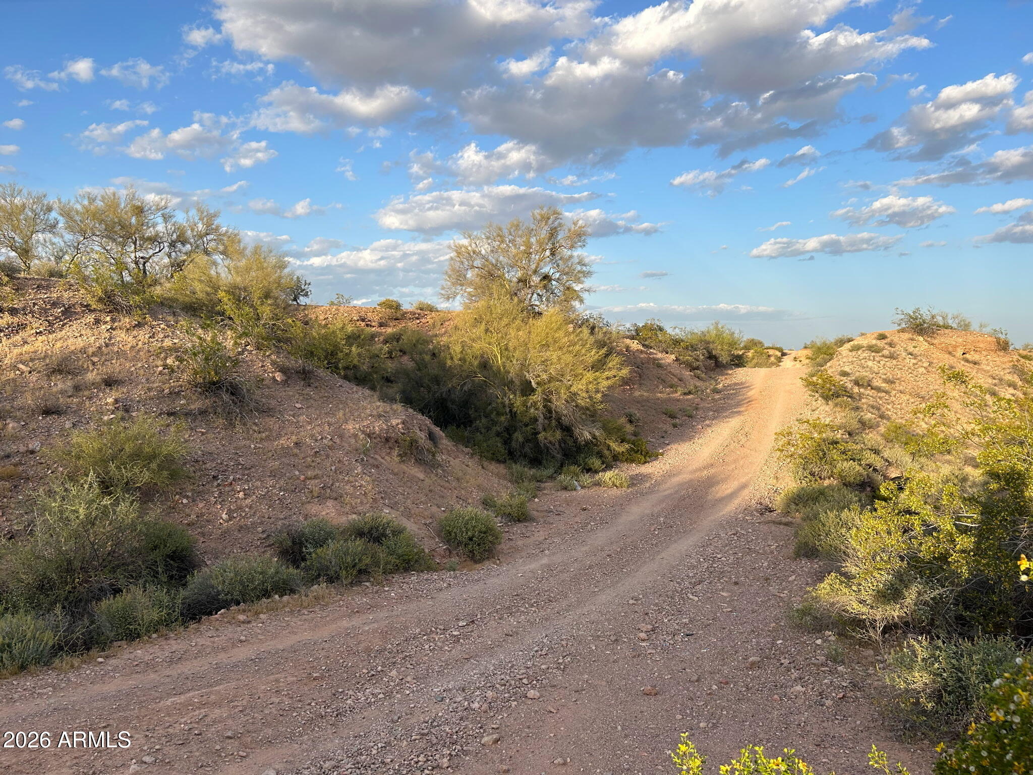 30098 W ASHLER HILLS Drive 180