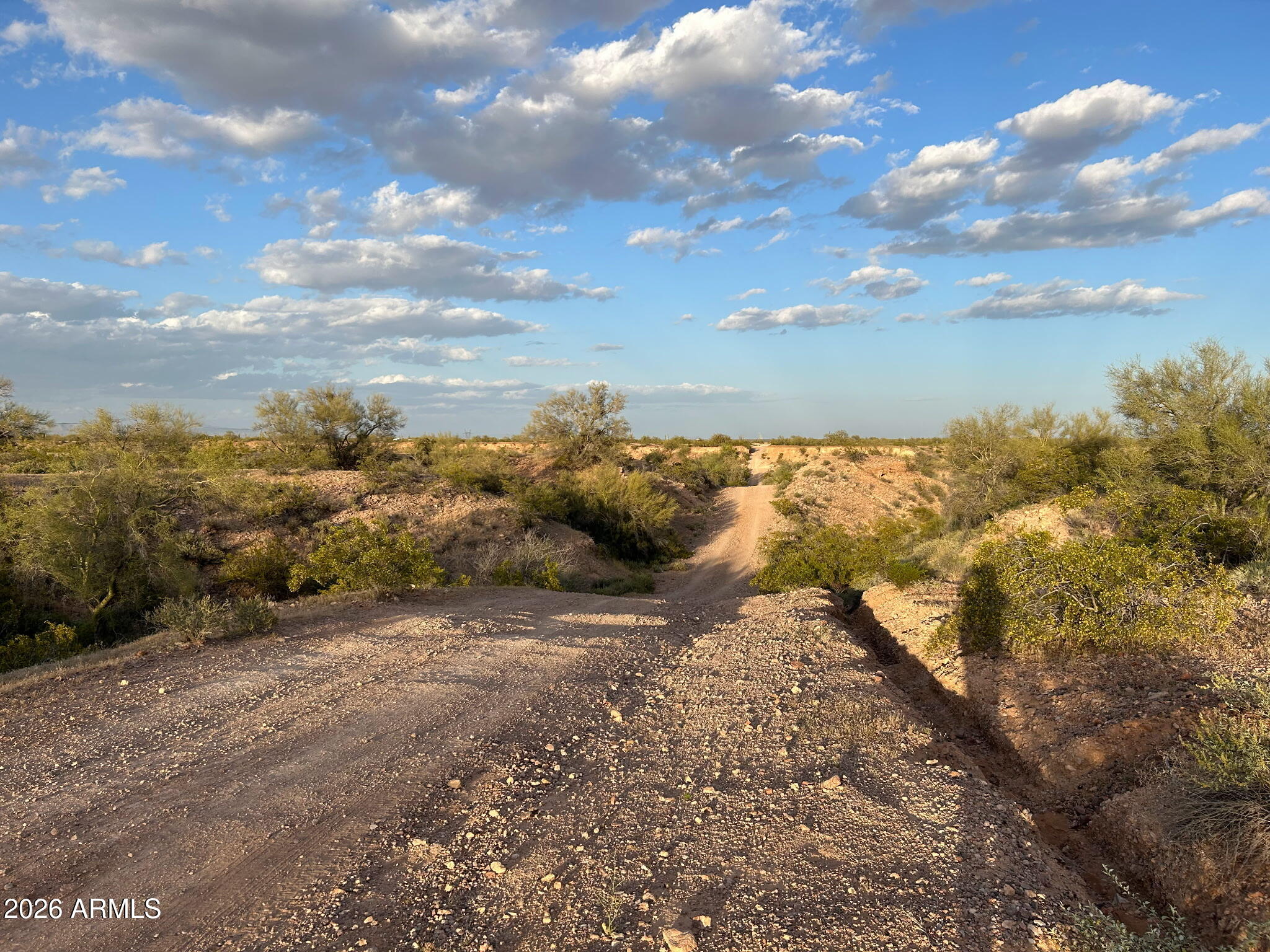 30098 W ASHLER HILLS Drive 180