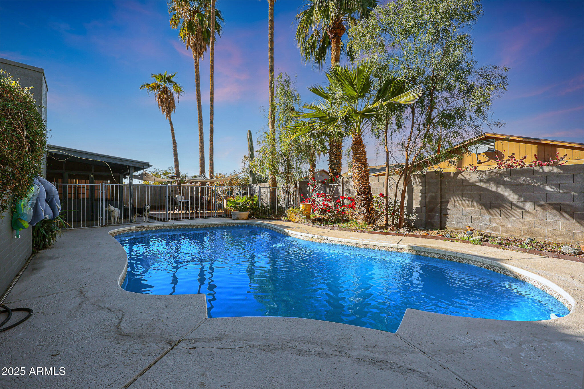 556 W KIVA Avenue