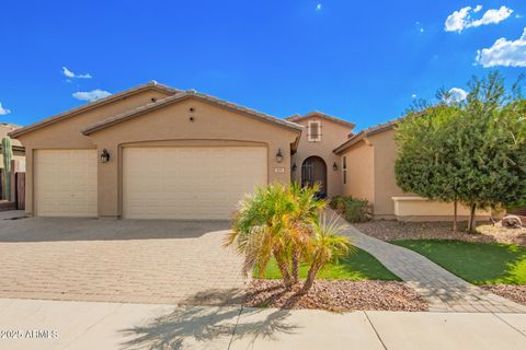 809 W TALLOW TREE Avenue San Tan Valley AZ 85140