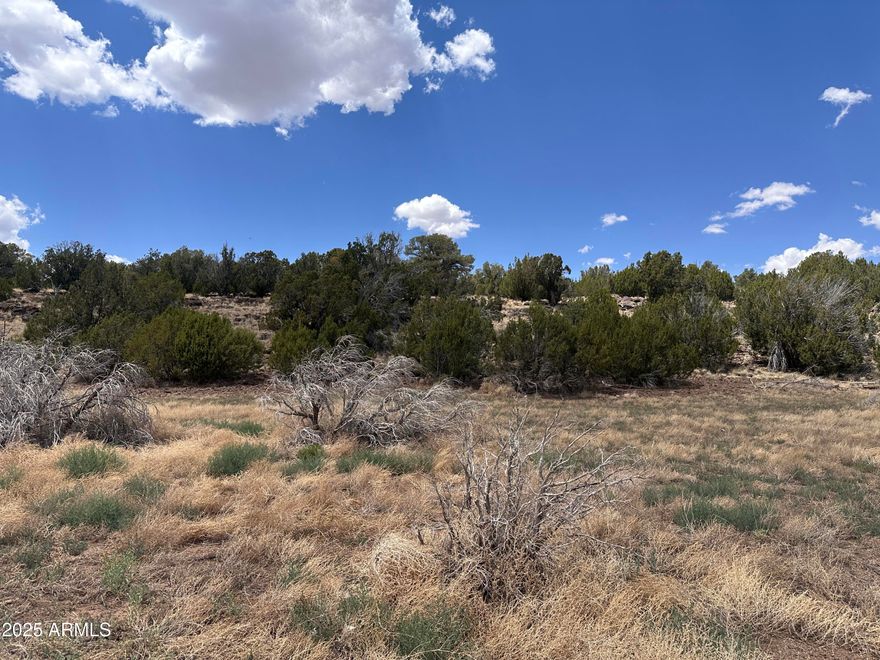 Over 1 acre Lot with views, maintained roads to property. Less than 20 miles outside of Show Low. The General store/mail center just 10 mins away.