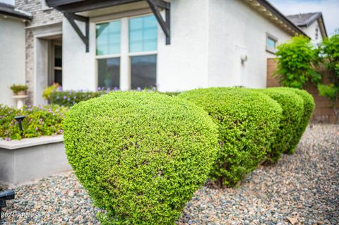 A home in Chandler