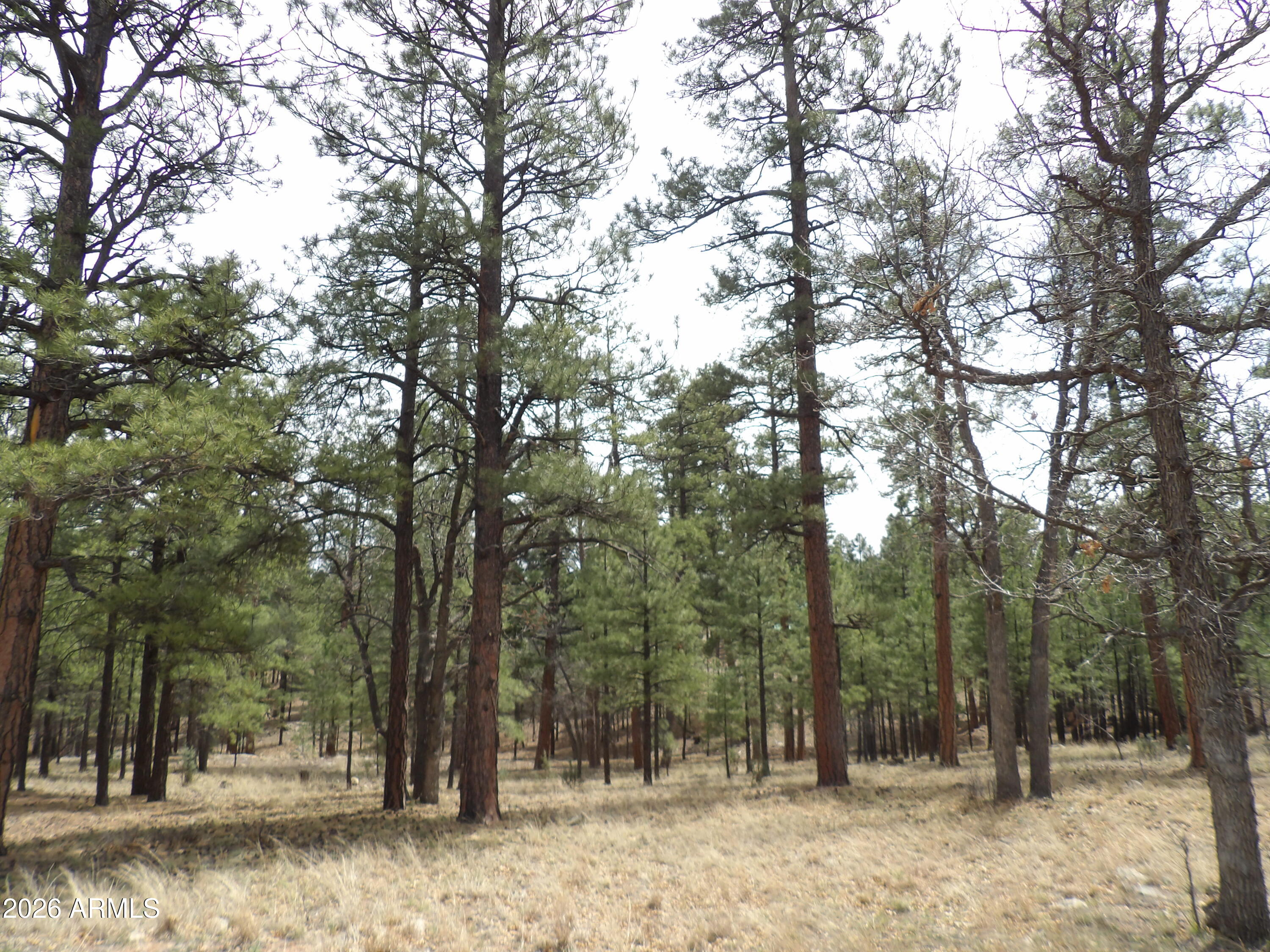 2011 PINE CANYON Drive 173