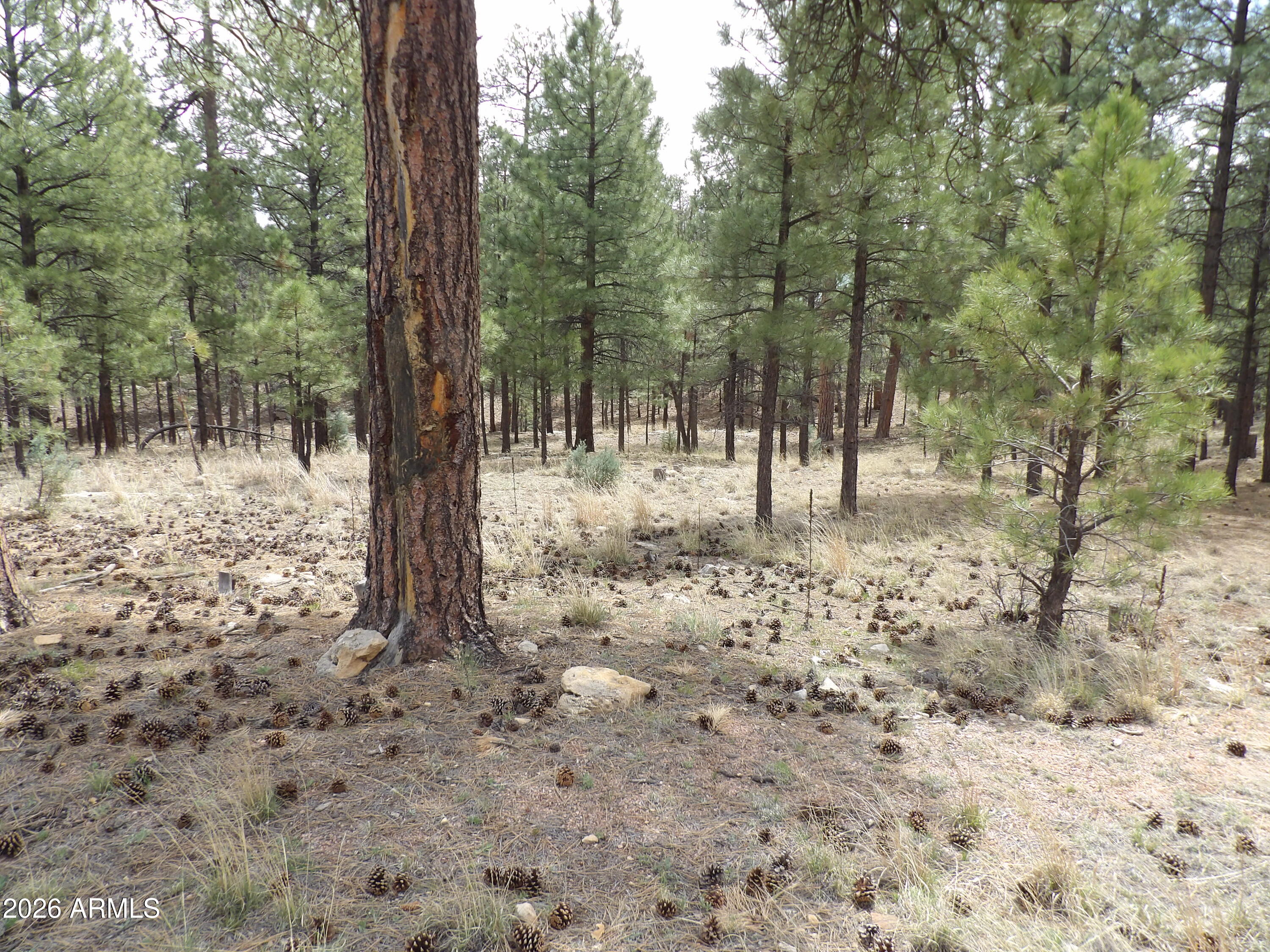 2011 PINE CANYON Drive 173