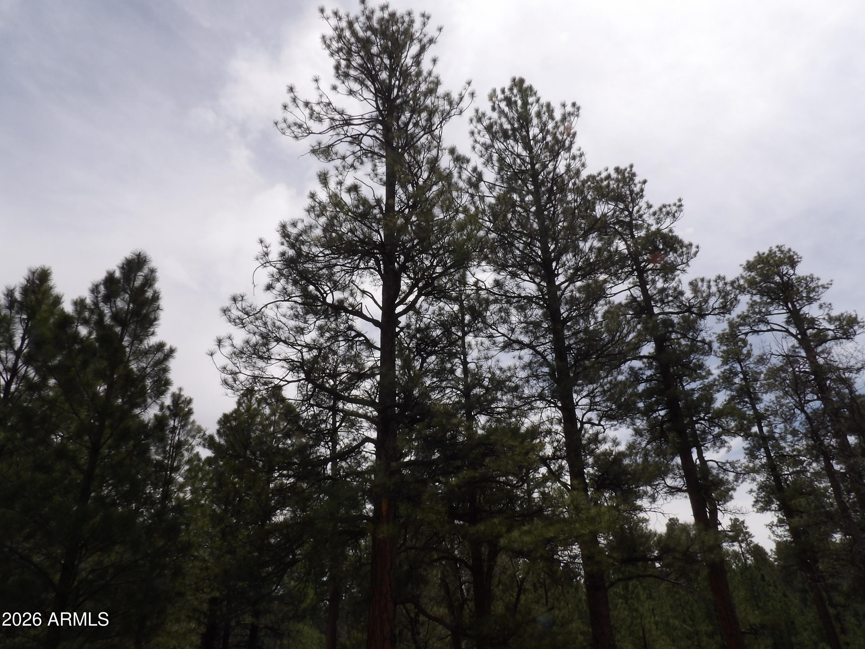 PINE CANYON 3 - Land