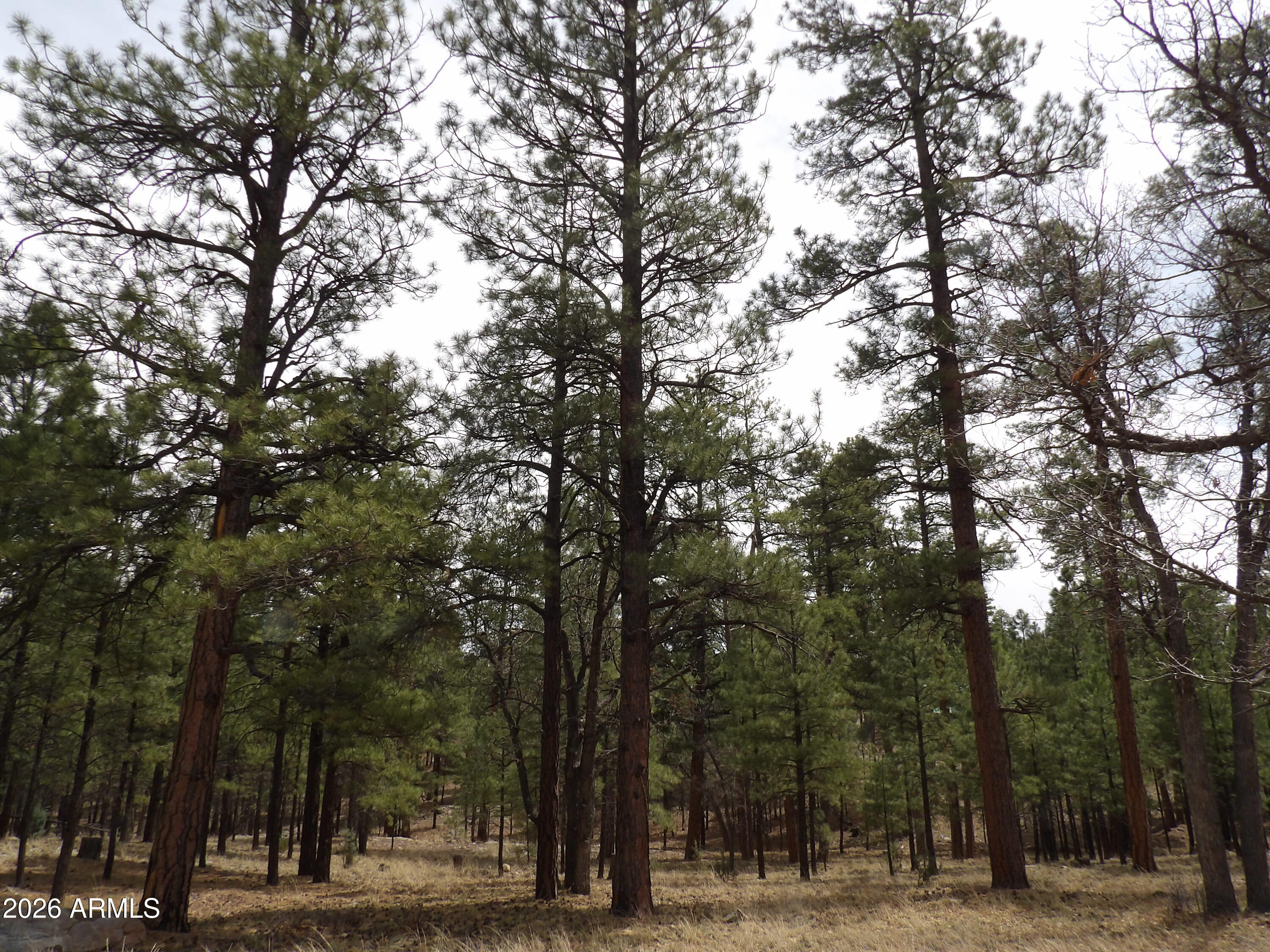 2011 PINE CANYON Drive 173