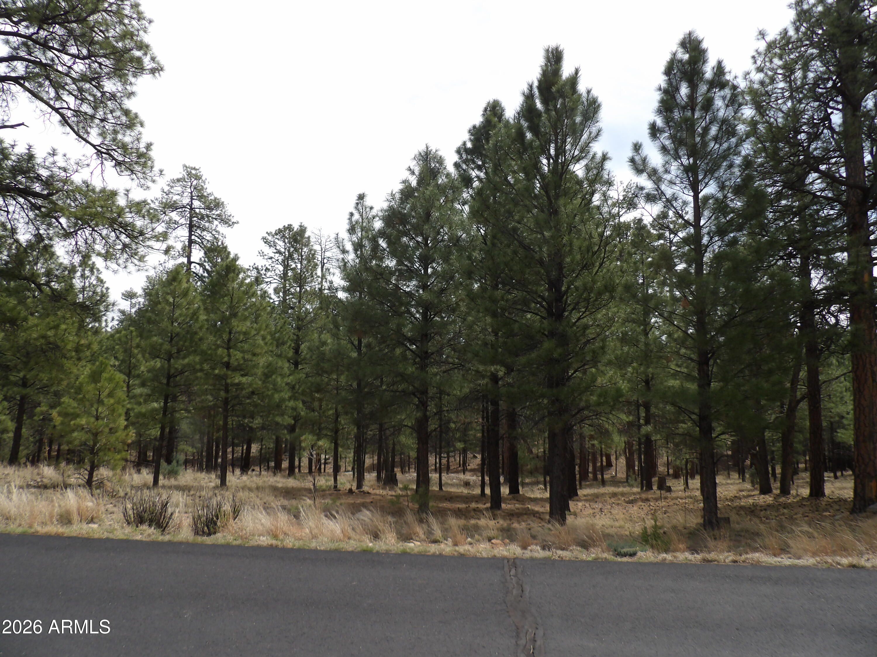 PINE CANYON 3 - Land