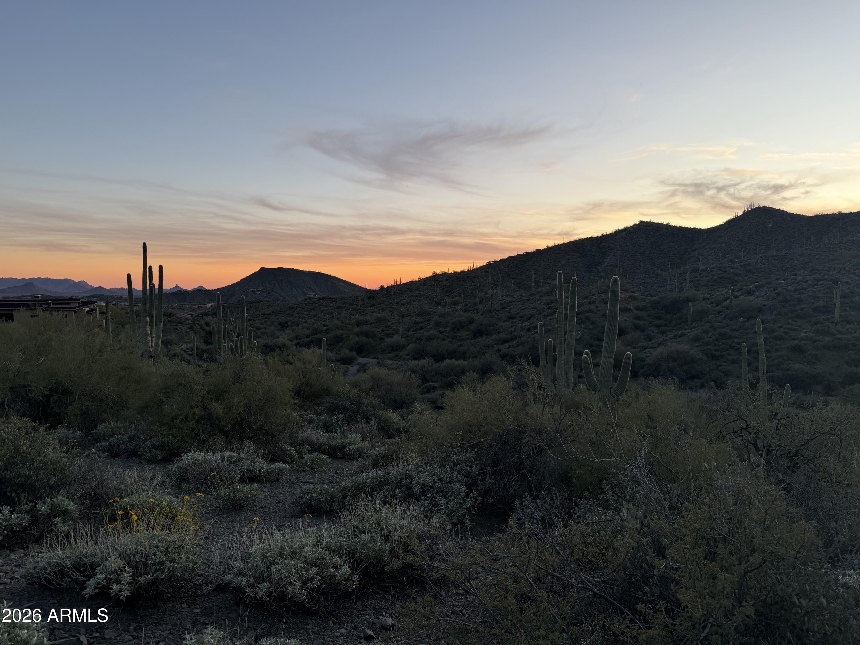 42382 N CHIRICAHUA PASS Pass 318