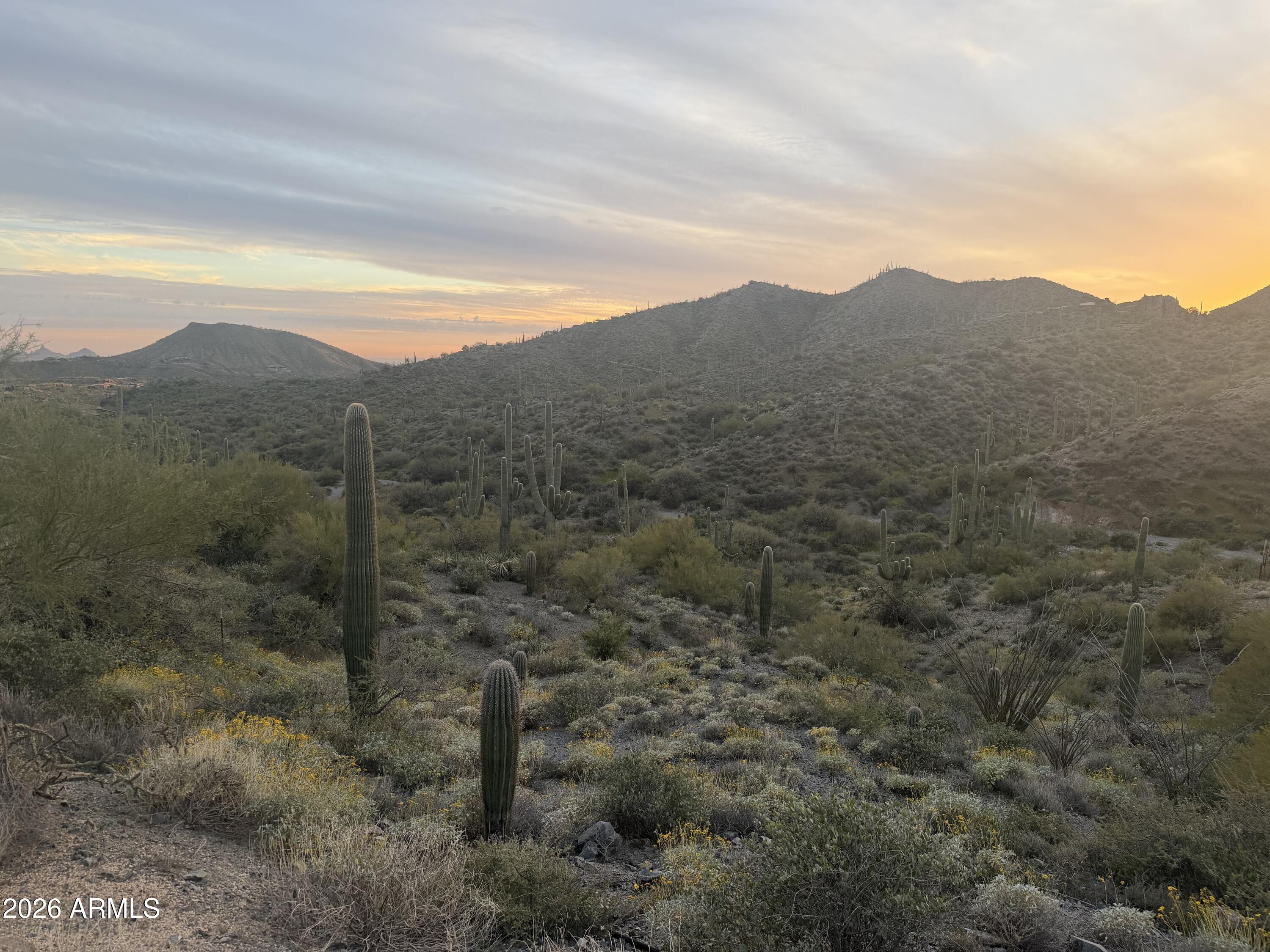 42382 N CHIRICAHUA PASS Pass 318