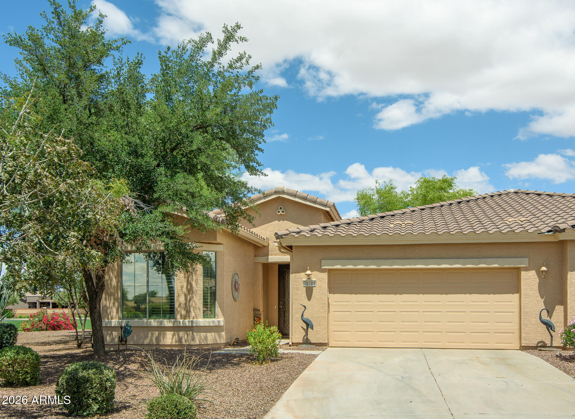 20705 N LEMON DROP Drive