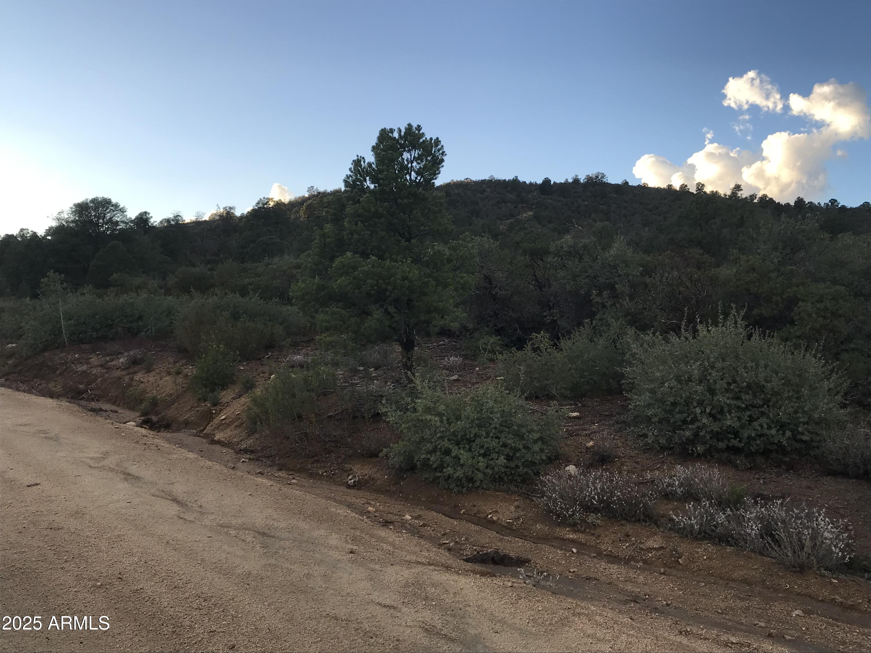 00000 W Buckhorn - V Drive -