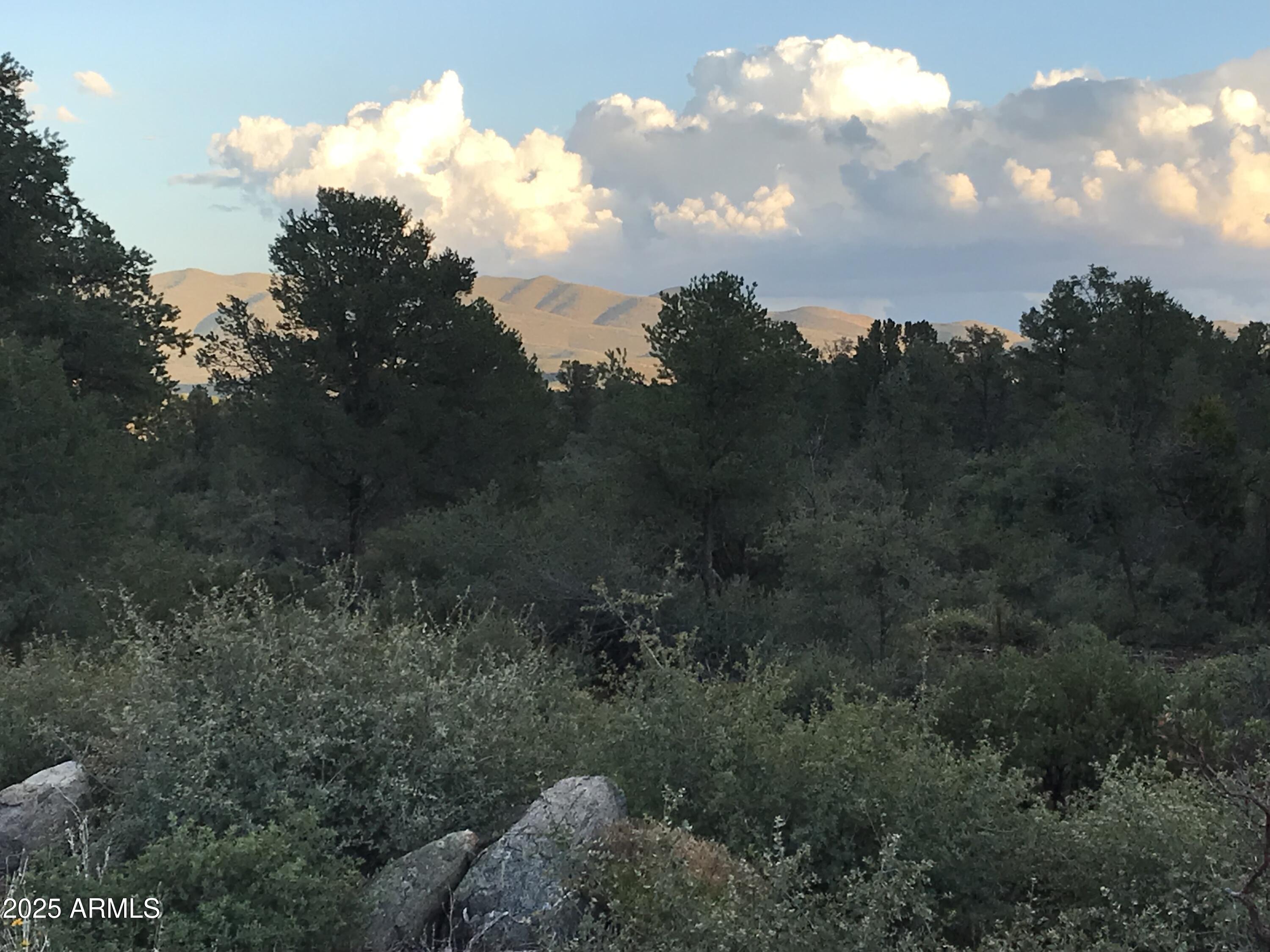 00000 W Buckhorn - V Drive -