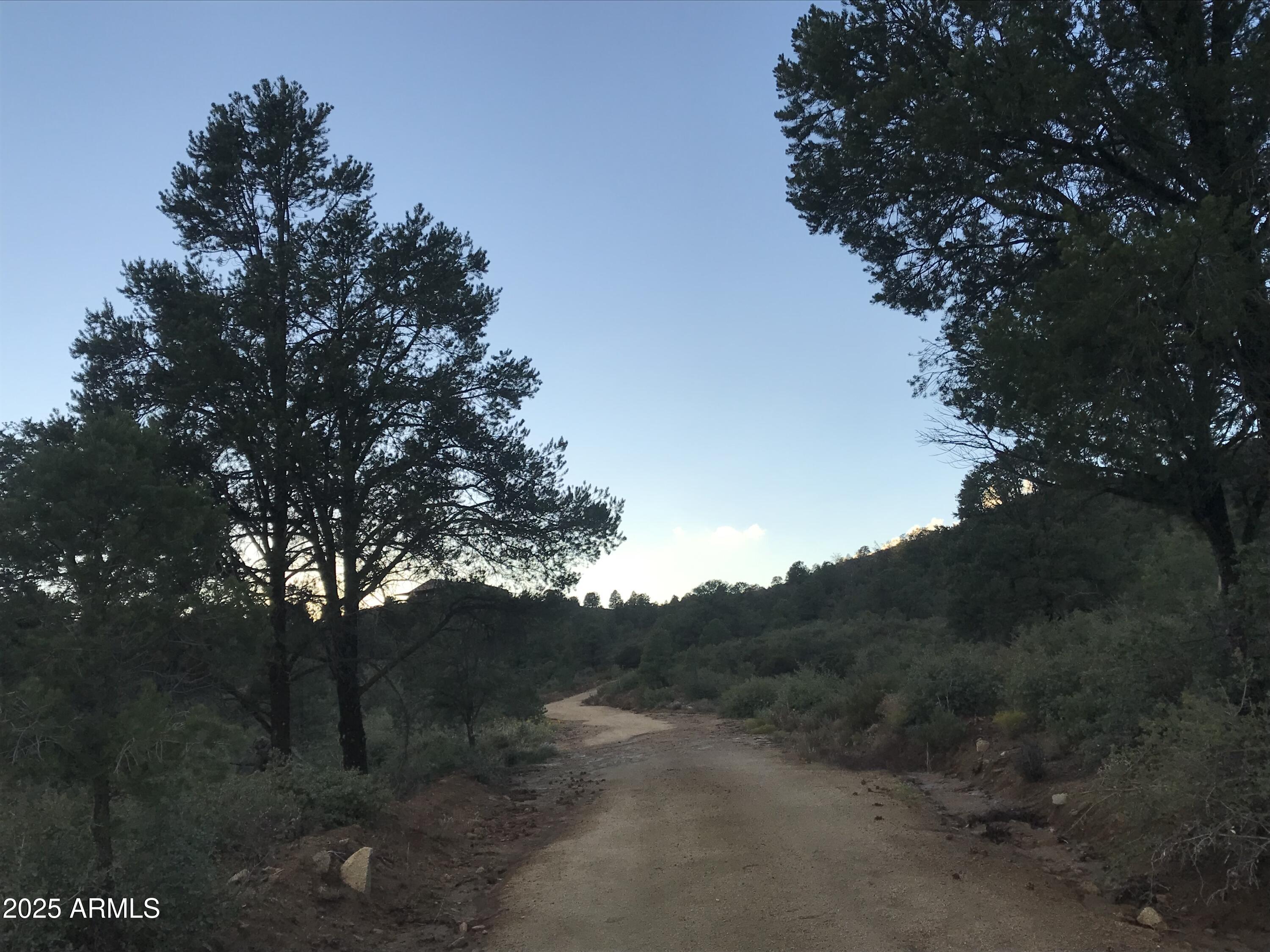 00000 W Buckhorn - V Drive -