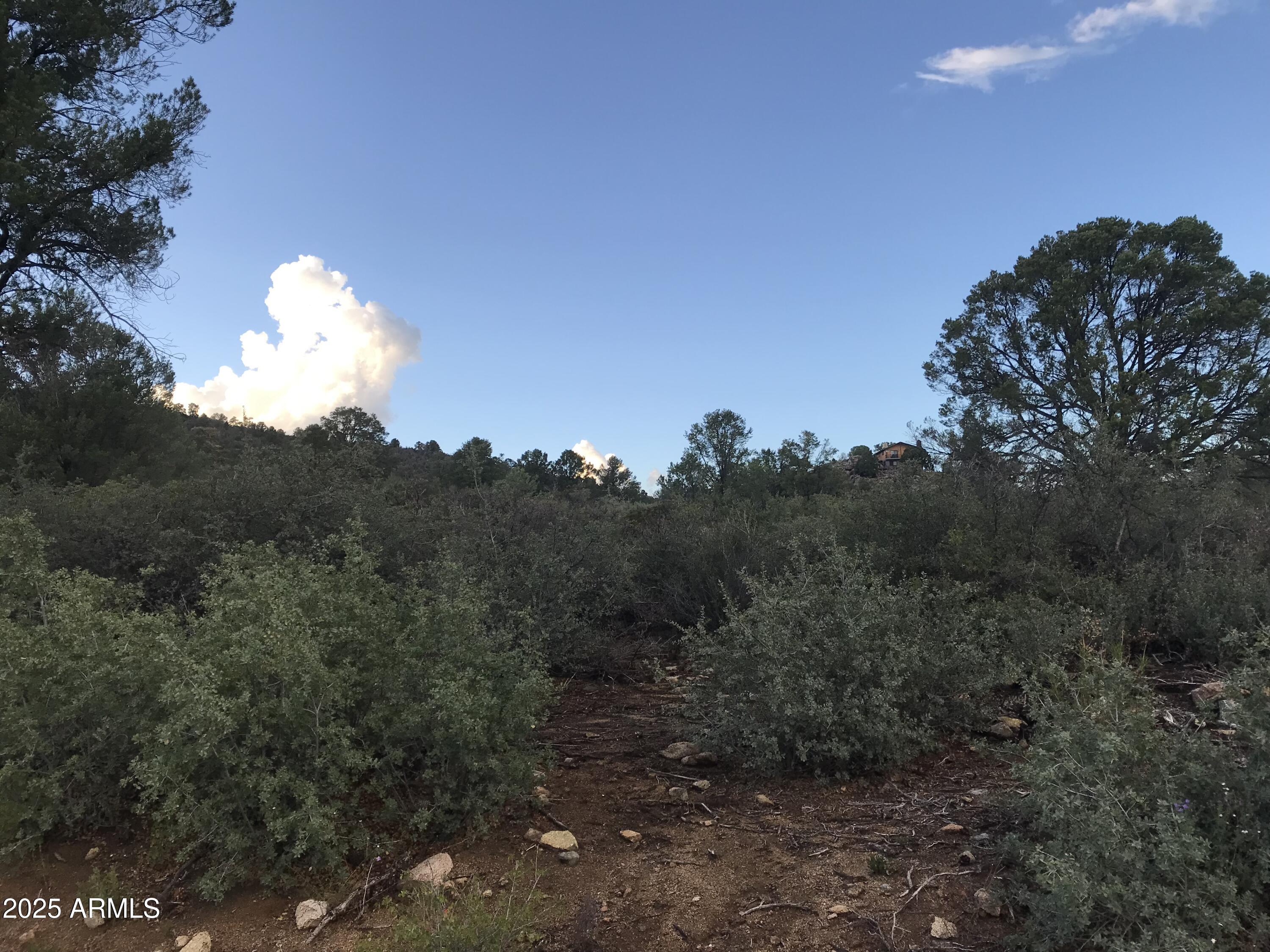 00000 W Buckhorn - V Drive -