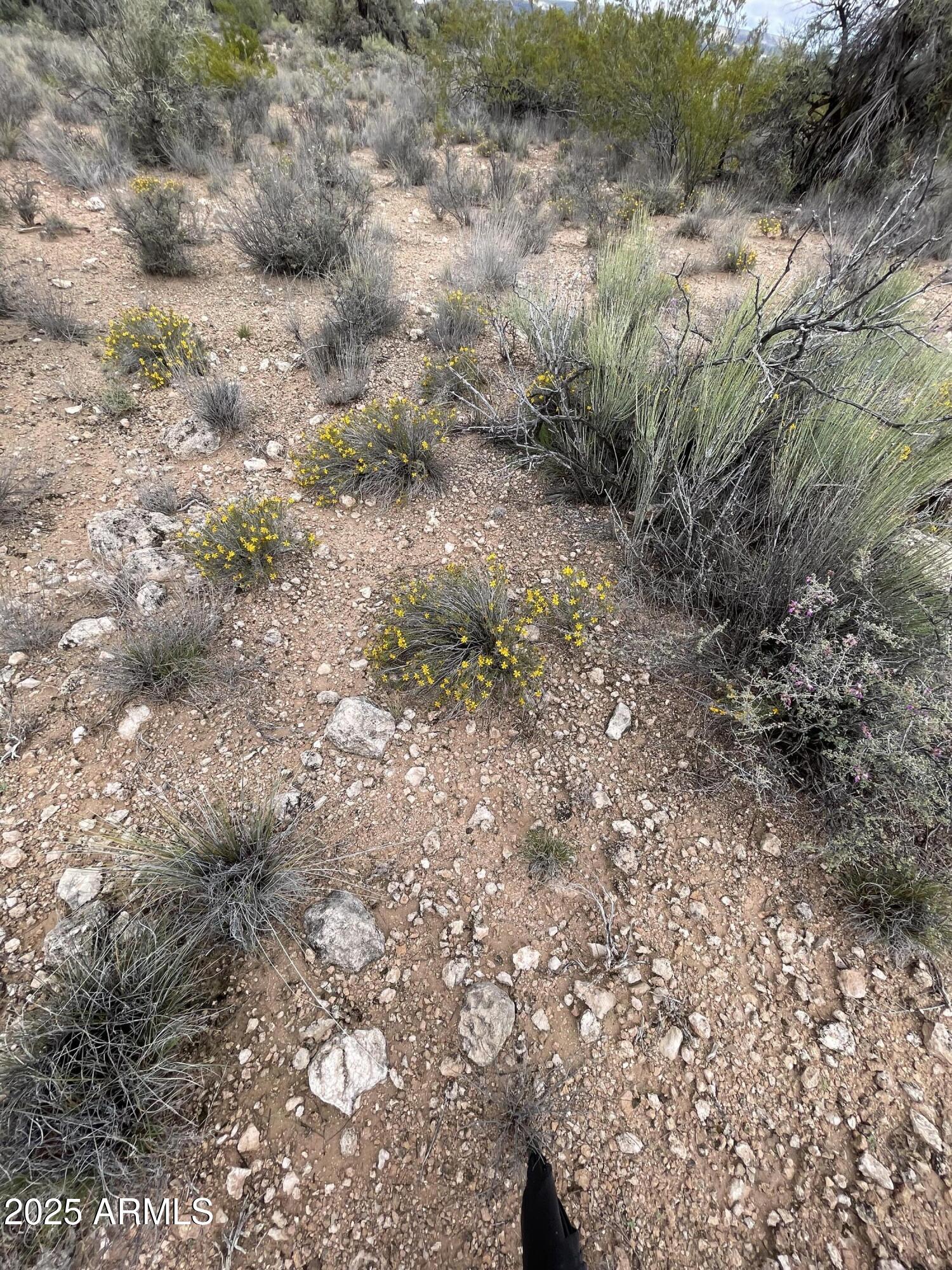 THUNDER RIDGE PHASE 4 Lot 71 - Land