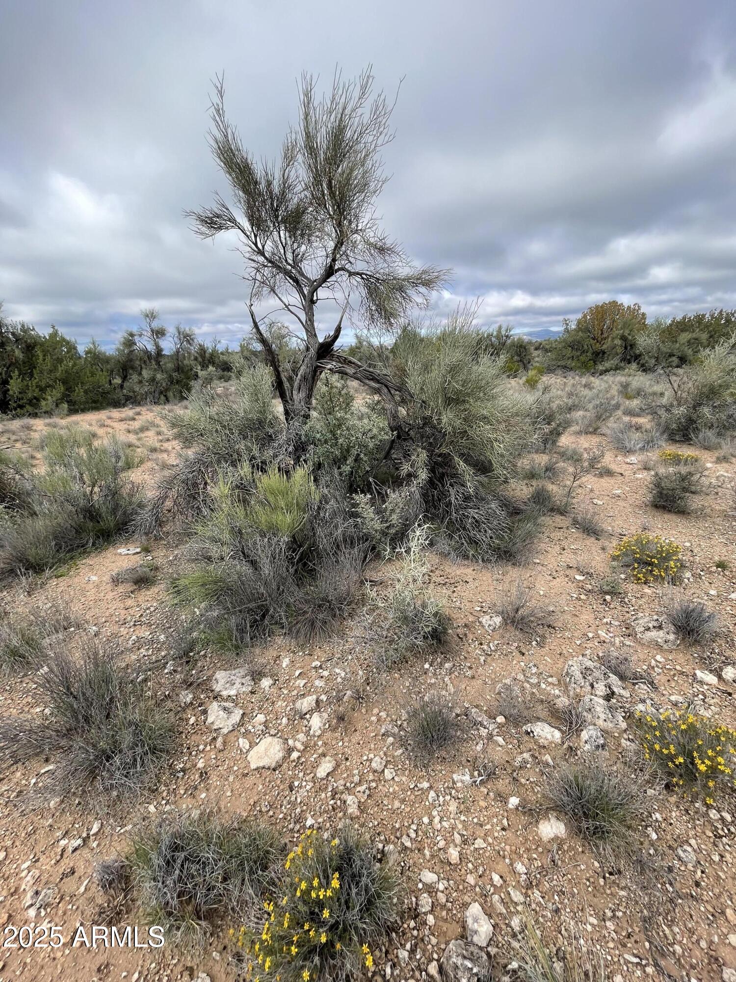 THUNDER RIDGE PHASE 4 Lot 71 - Land