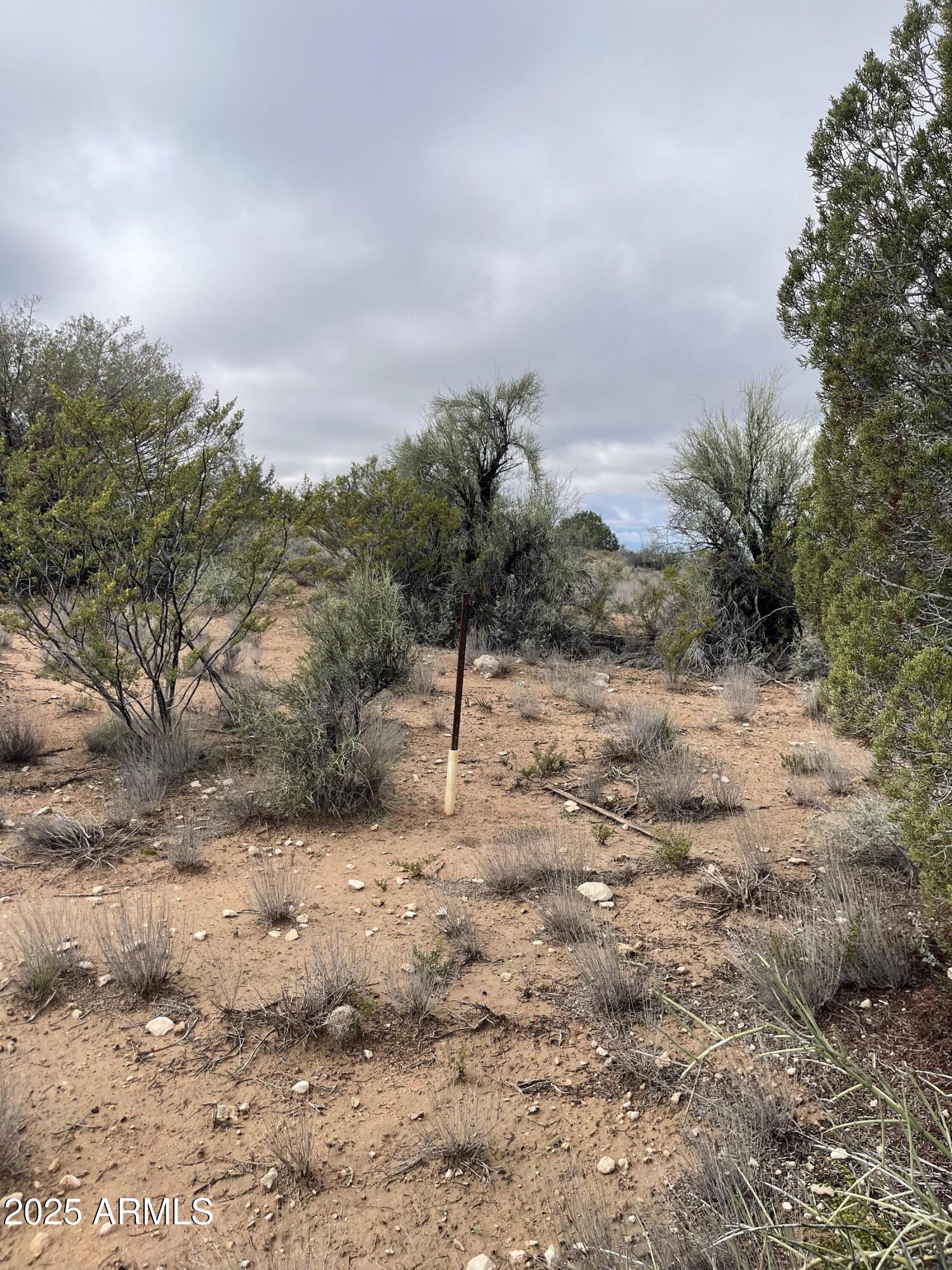 THUNDER RIDGE PHASE 4 Lot 71 - Land