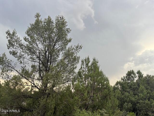 811 W ST. MORITZ Drive 30