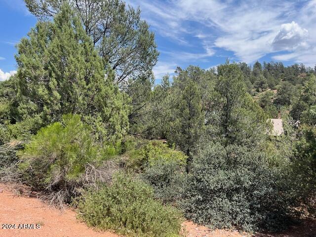 811 W ST. MORITZ Drive 30