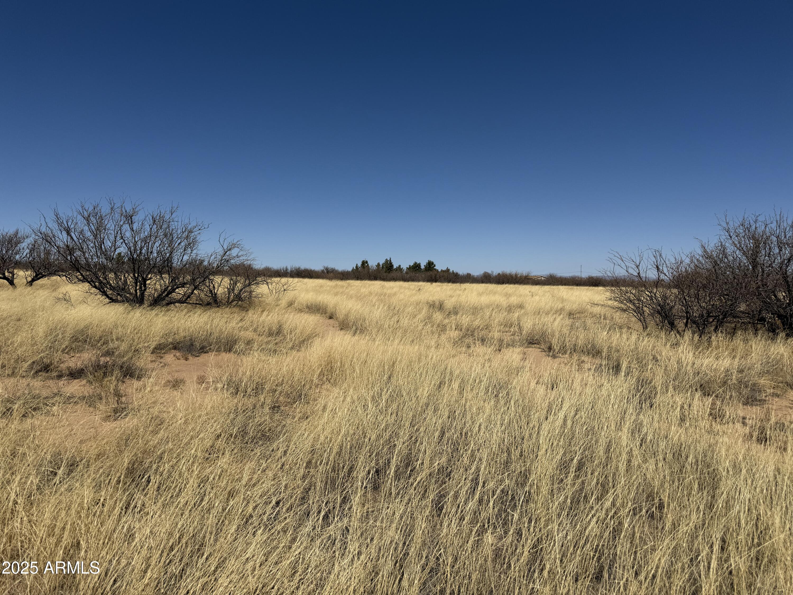 PALOMINAS RANCHES UNIT 1 - Land