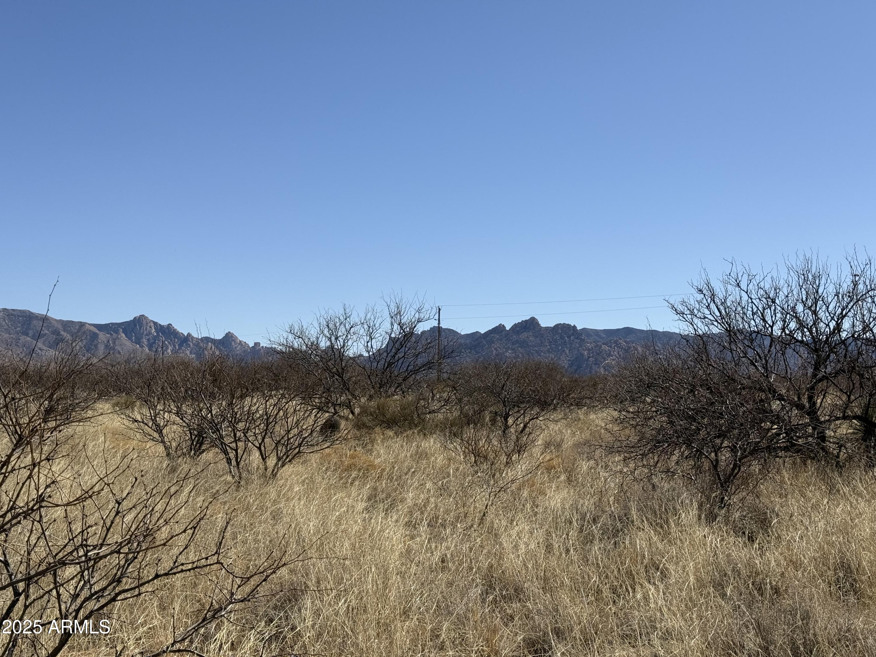 PALOMINAS RANCHES UNIT 1 - Land