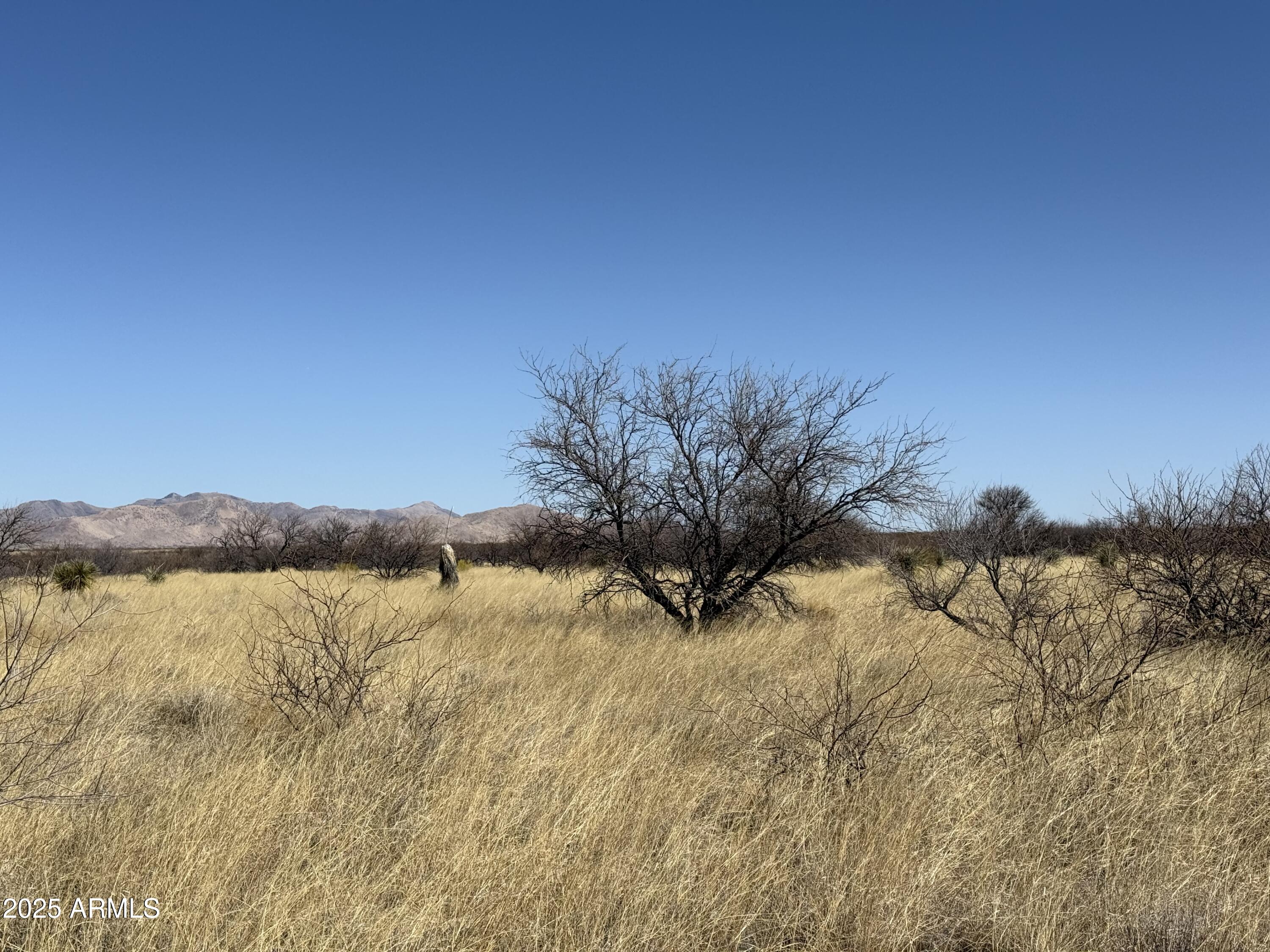 PALOMINAS RANCHES UNIT 1 - Land