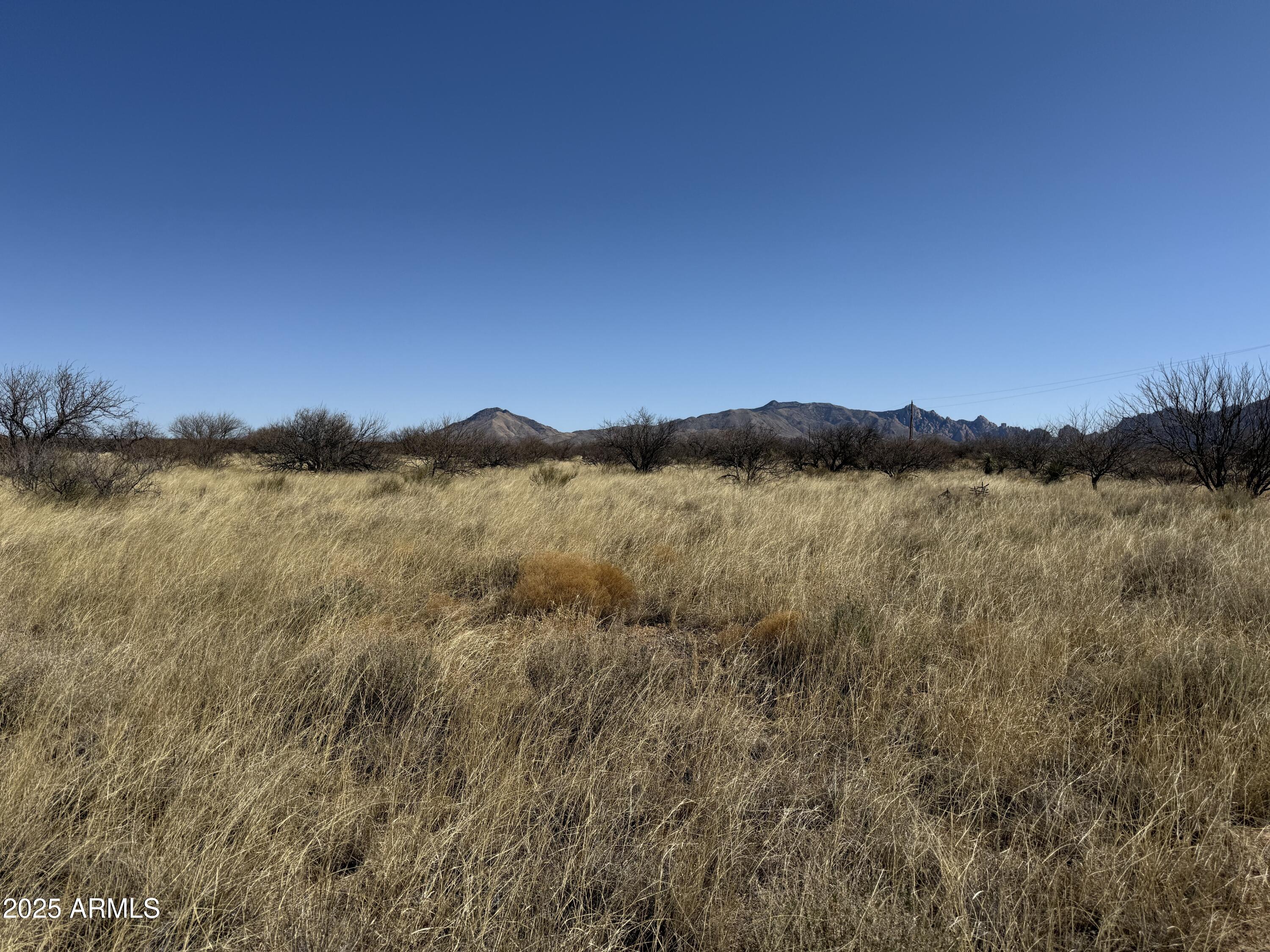 PALOMINAS RANCHES UNIT 1 - Land