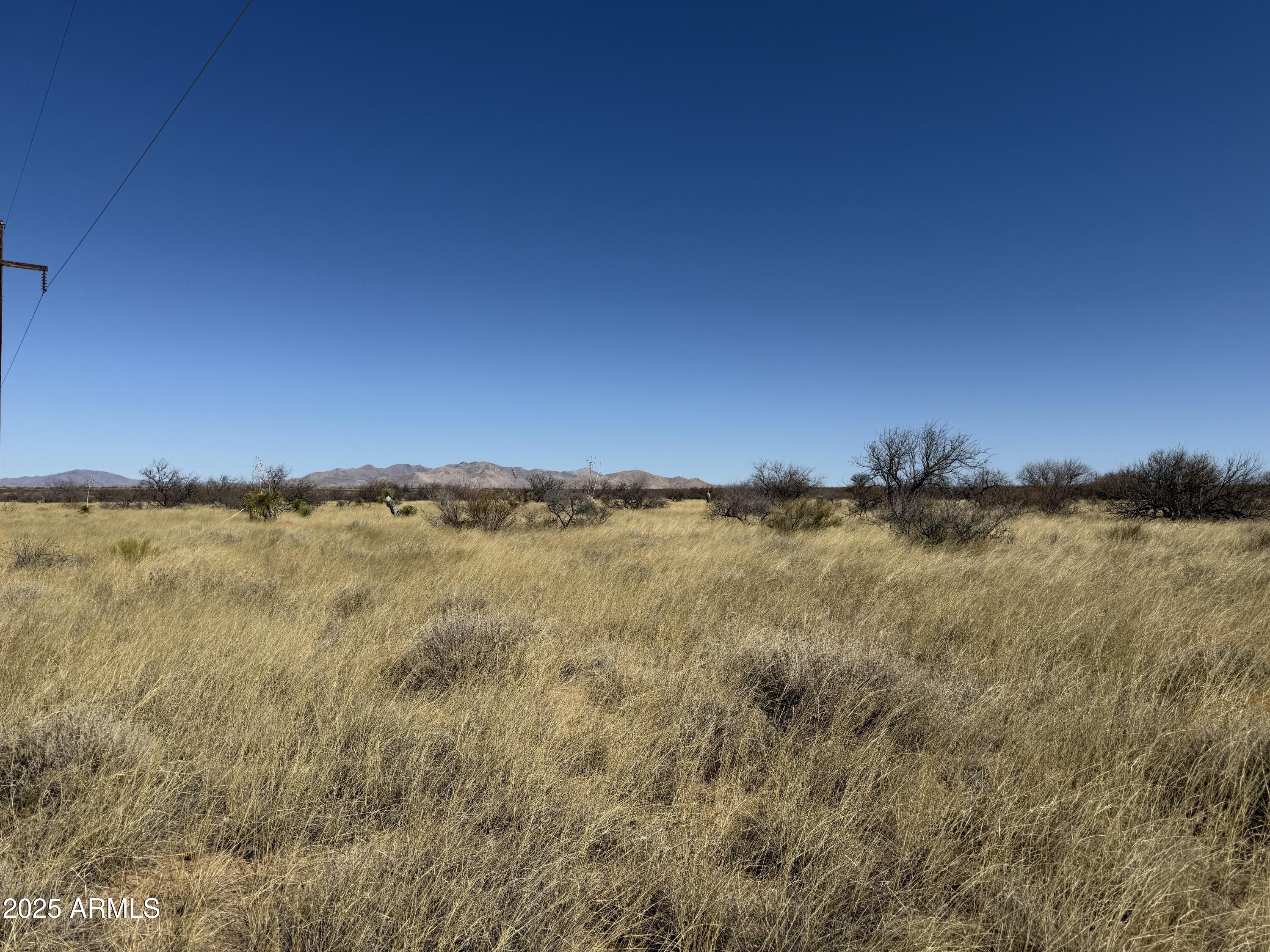PALOMINAS RANCHES UNIT 1 - Land