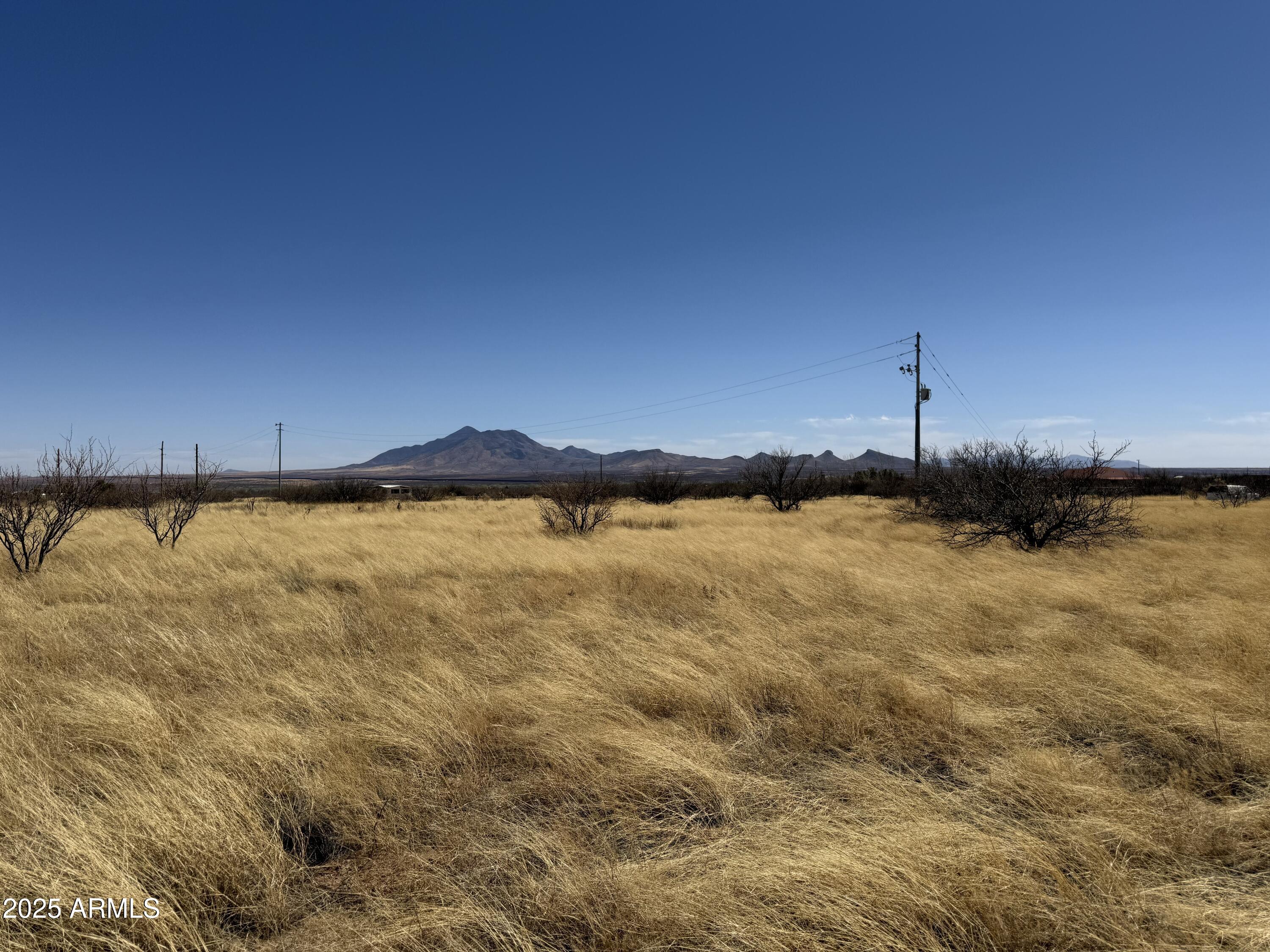 PALOMINAS RANCHES UNIT 1 - Land