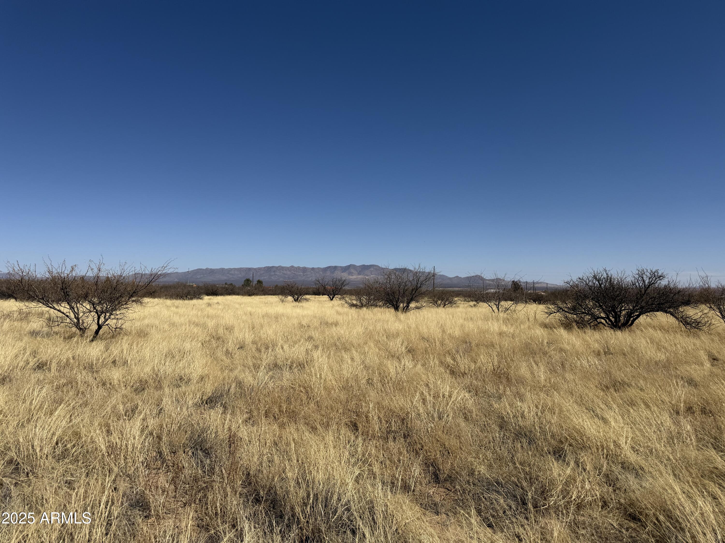 PALOMINAS RANCHES UNIT 1 - Land