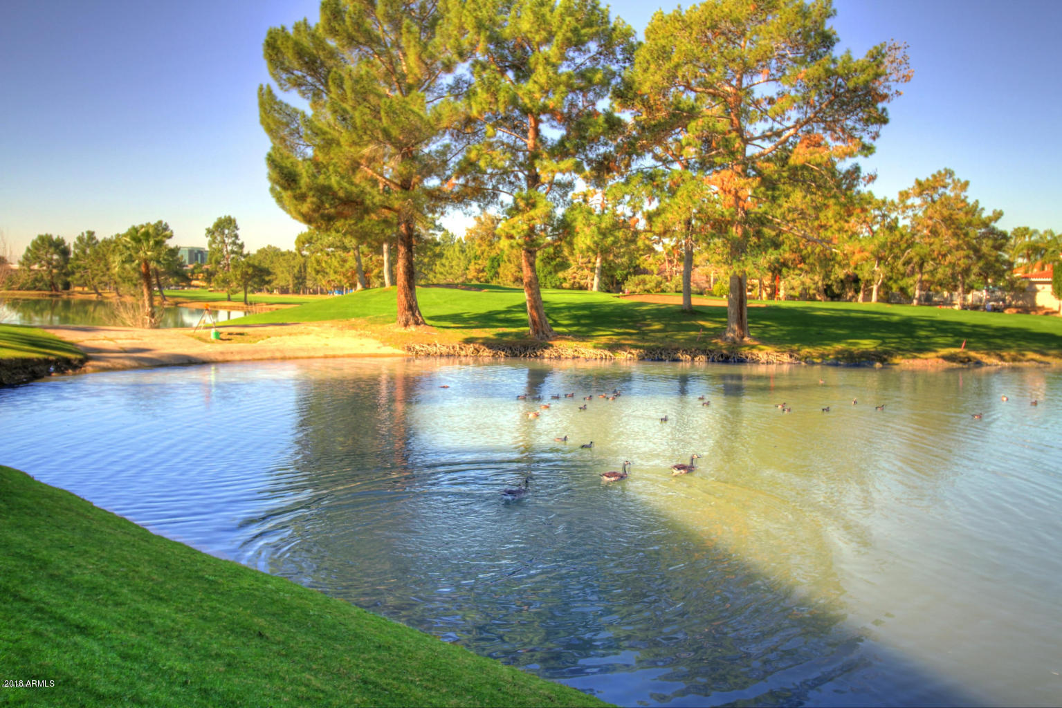 Phoenix, Arizona 85016, United States, 2 Bedrooms Bedrooms, ,2 BathroomsBathrooms,Residential,Active,140001