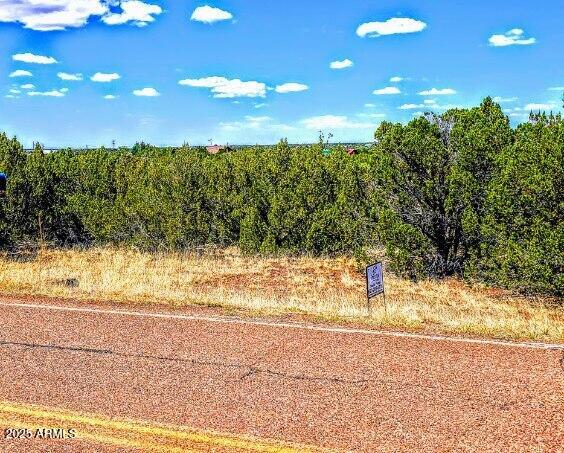 8546 SILVER CREEK Drive 44