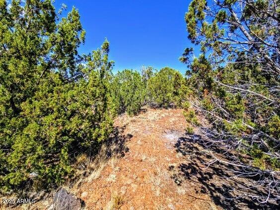 8546 SILVER CREEK Drive 44