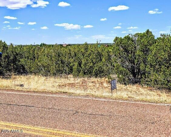 8546 SILVER CREEK Drive 44