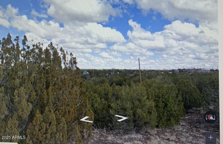 WHITE MOUNTAIN LAKES UNIT 11 - Land