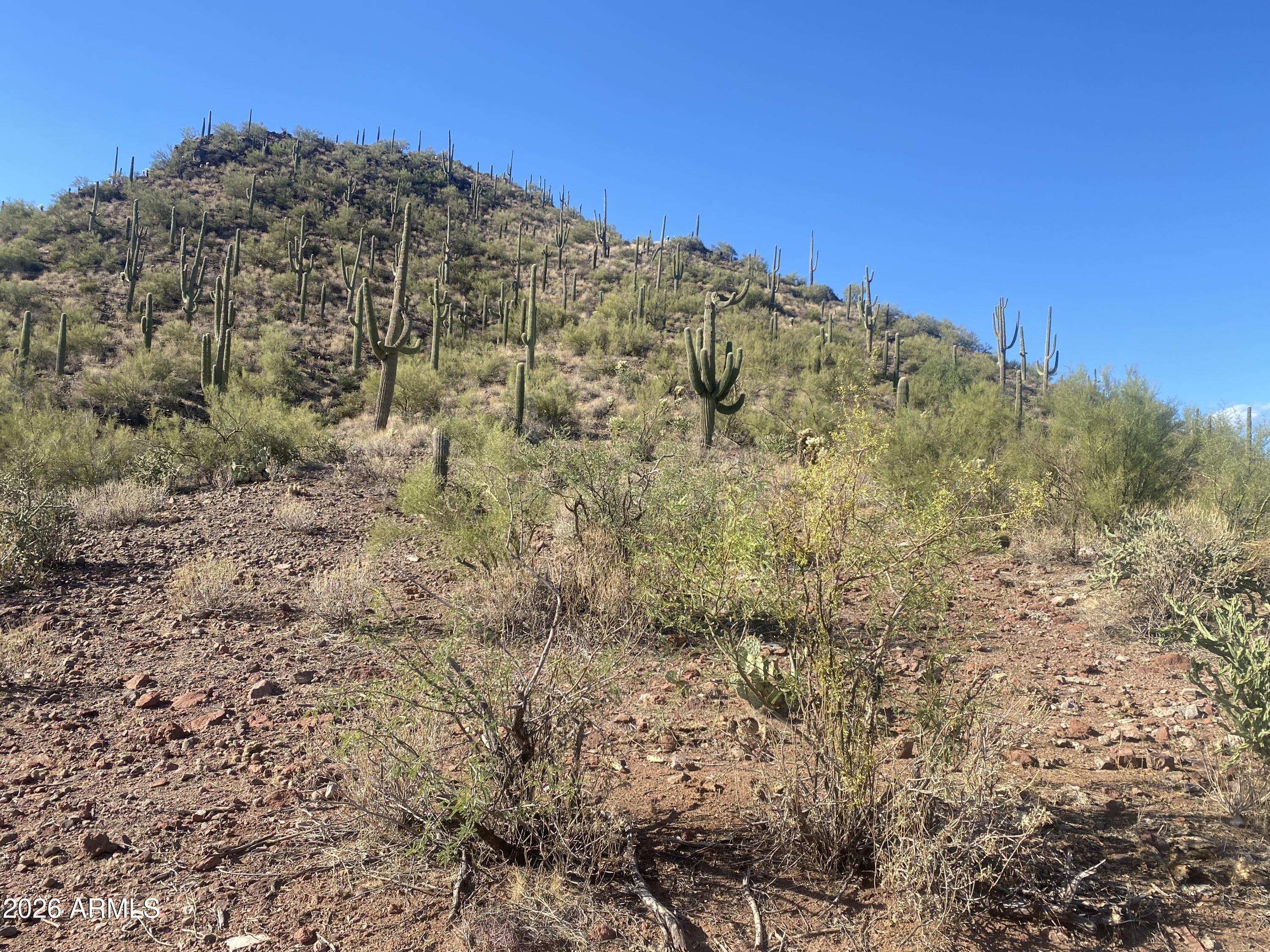PLEASANT COUNTRY RANCHES LOT 53 A - Land