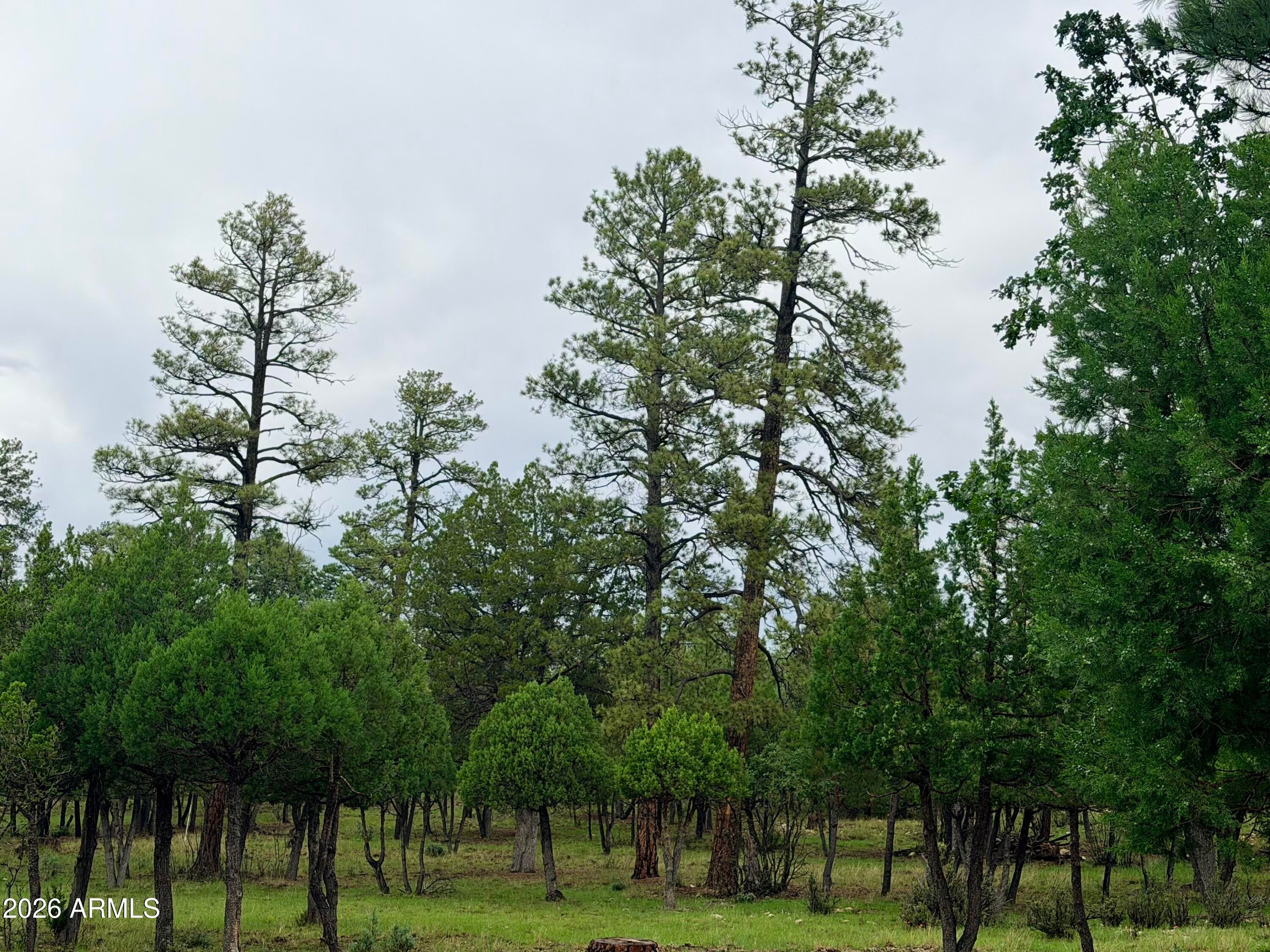4517 DURANGO Drive 374