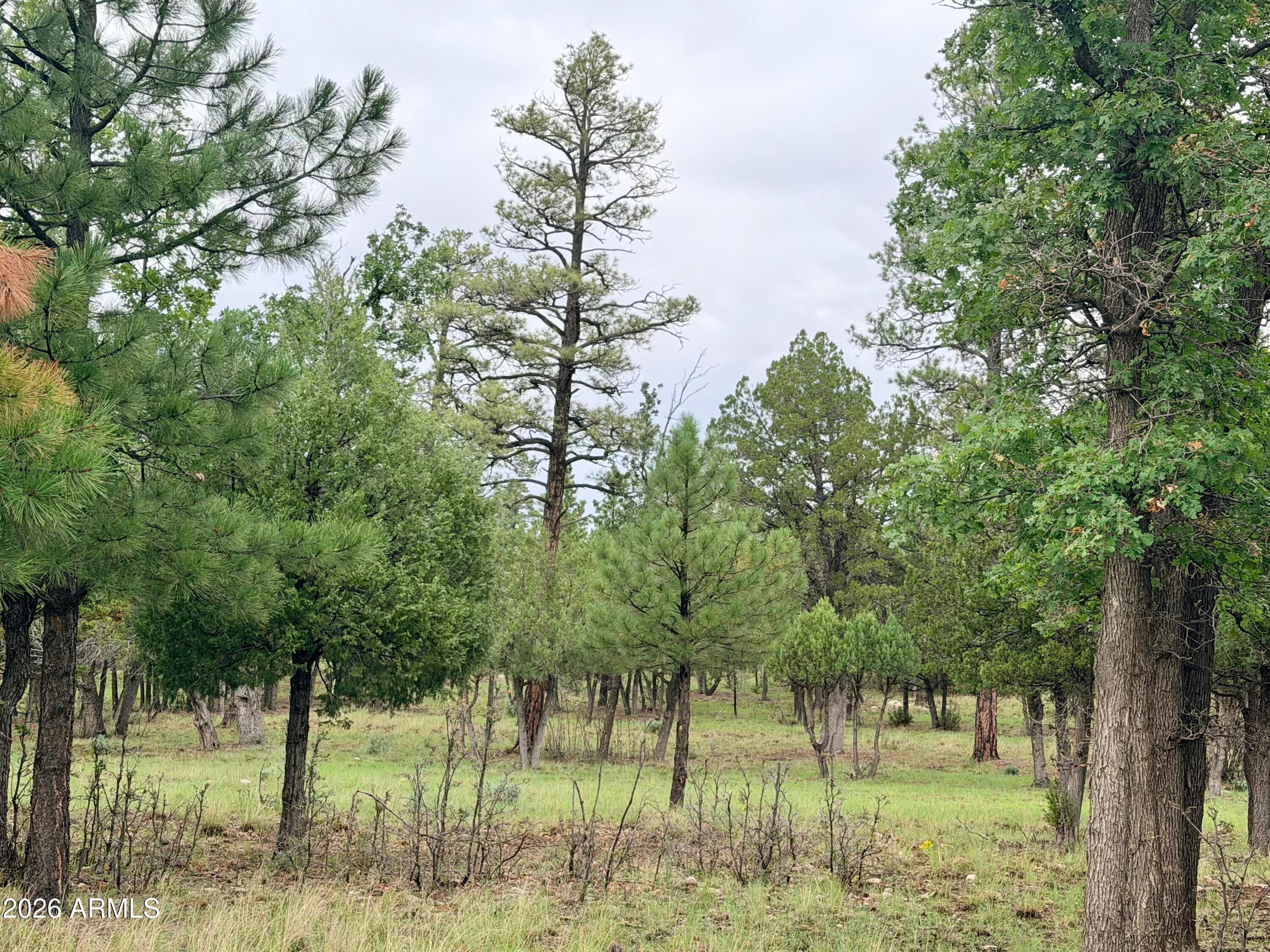 4517 DURANGO Drive 374